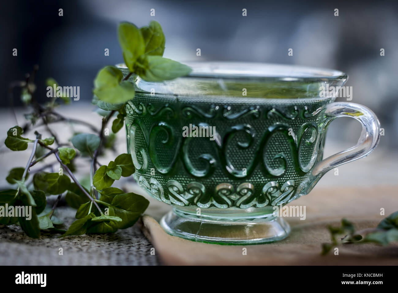 Green tea of holy basil,Ocimum tenuiflorum,tulsi for weight loss and