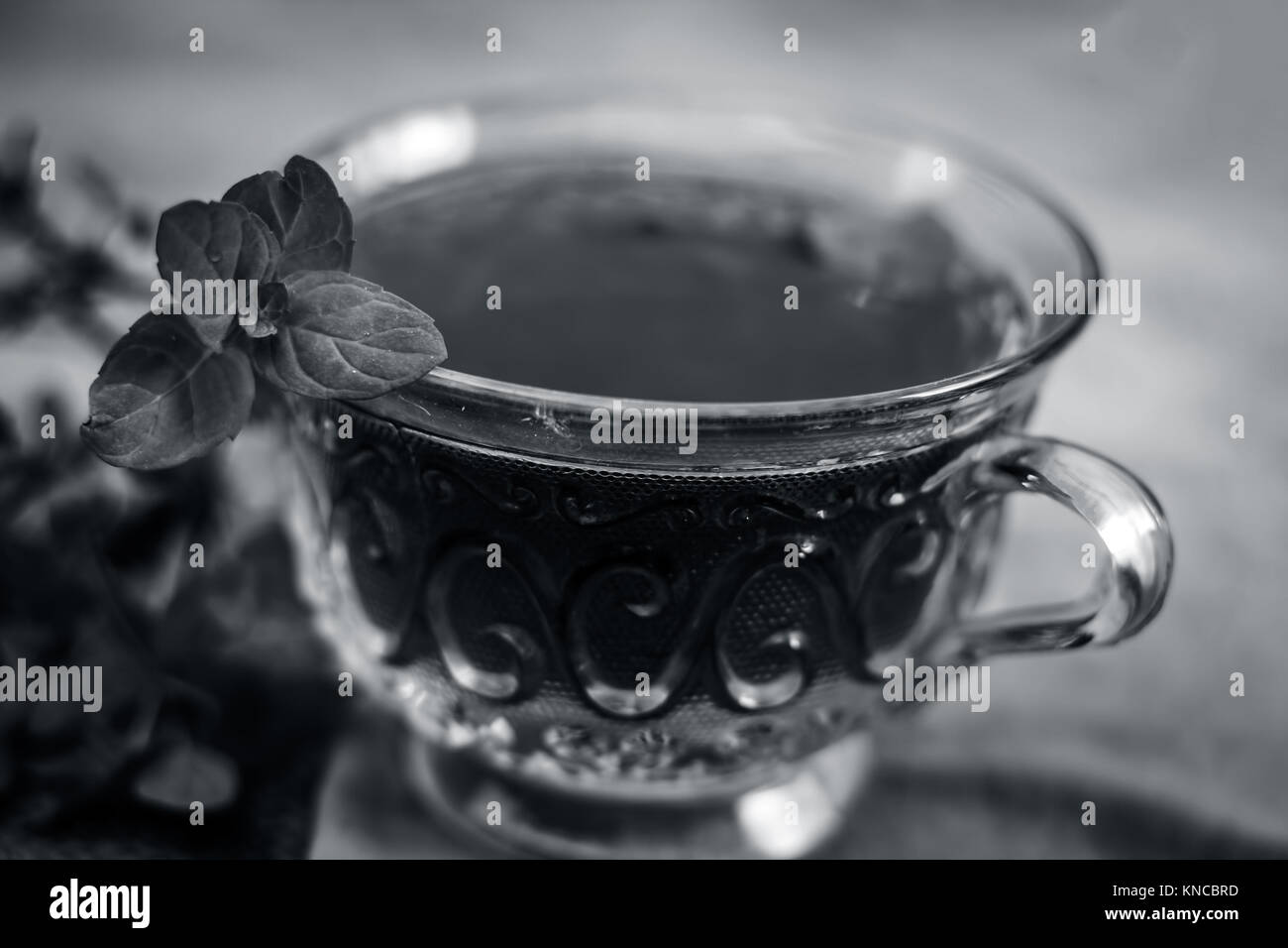 Green tea of holy basil,Ocimum tenuiflorum,tulsi for weight loss and