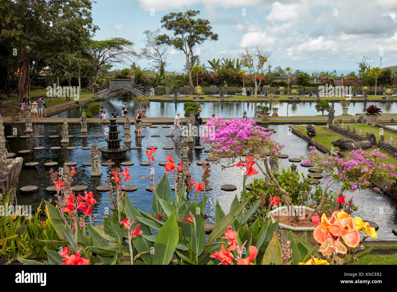 Bali Roses Over Pool Colorful tropical flowers growing at the water pool with stepping ...