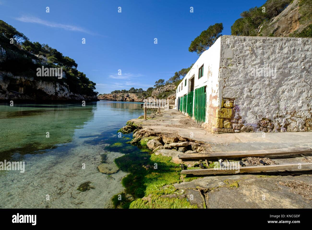 Escars de Cala Pi, Municipality of Llucmajor, Mallorca, balearic islands, spain, europe. Stock Photo