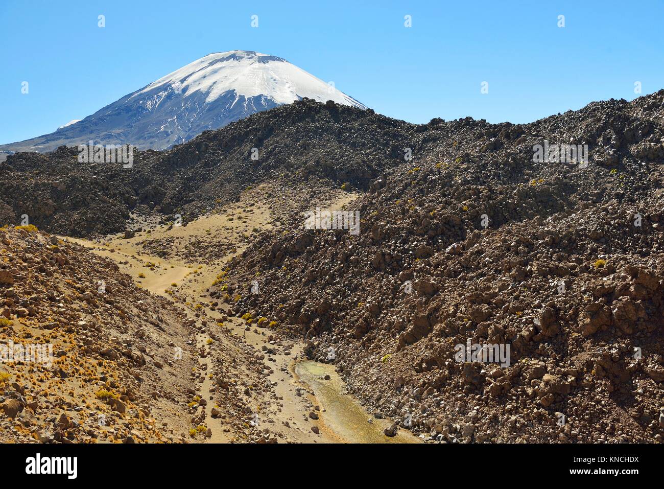 Parinacota volcano in the background. Foreground, lava flows and basalt rocks. Lauca National Park. Norte Grande region. Chile Stock Photo