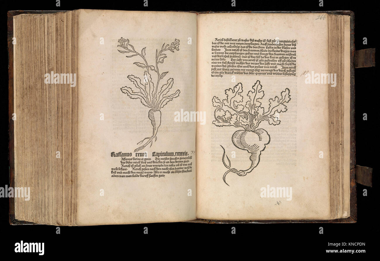 This illustration from 'Gart der gesuntheit Ortus sanitatis,' known