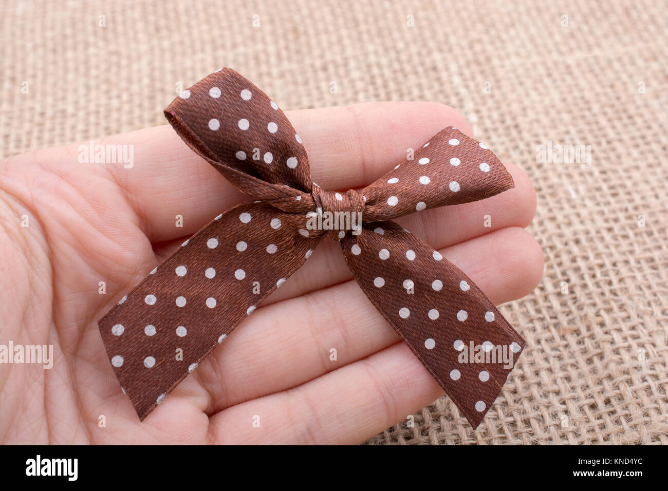 Hand holding a brown color ribbon in hand Stock Photo - Alamy