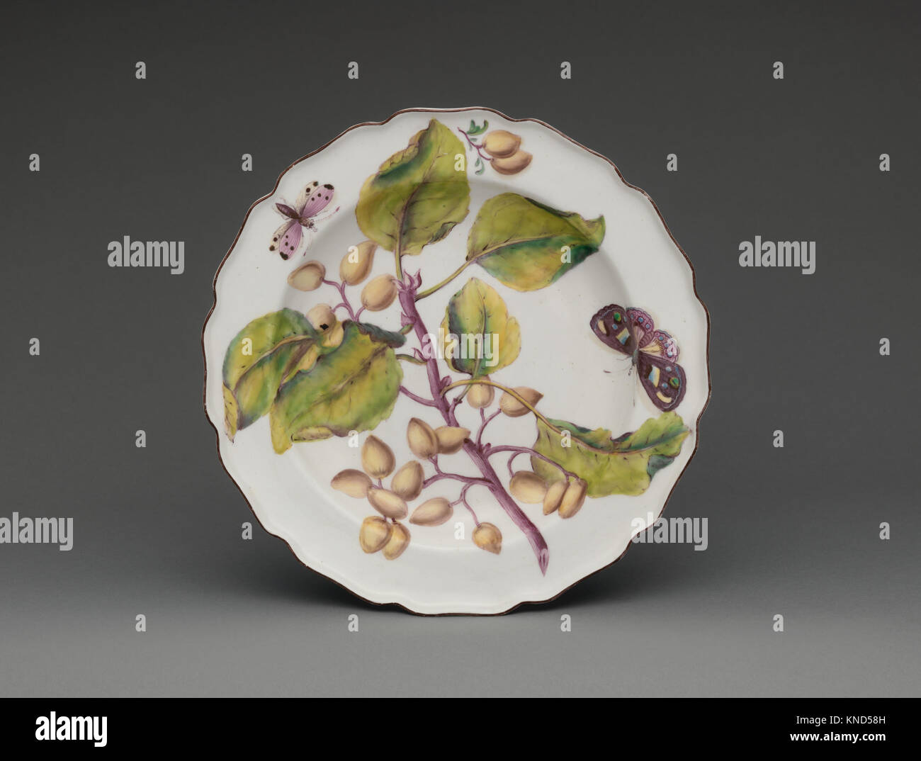 Botanical plate with spray of fruiting Indian Bean Tree MET DP-1687-038 Botanical plate with spray of fruiting Indian Bean Tree MET DP-1687-038 /707888 Maker: Chelsea Porcelain Manufactory, British, 1745?1784, Red Anchor Period, ca. 1753?58, Botanical plate with spray of fruiting Indian Bean Tree, ca. 1755, Soft-paste porcelain, Overall (confirmed): 1 9/16 ? 9 1/8 ? 9 1/8 in., 1 lb. (4 ? 23.2 ? 23.2 cm, 0.5 kg). The Metropolitan Museum of Art, New York. Purchase, Bernard M. Baruch, by exchange, 2016 (2016.222) Stock Photo