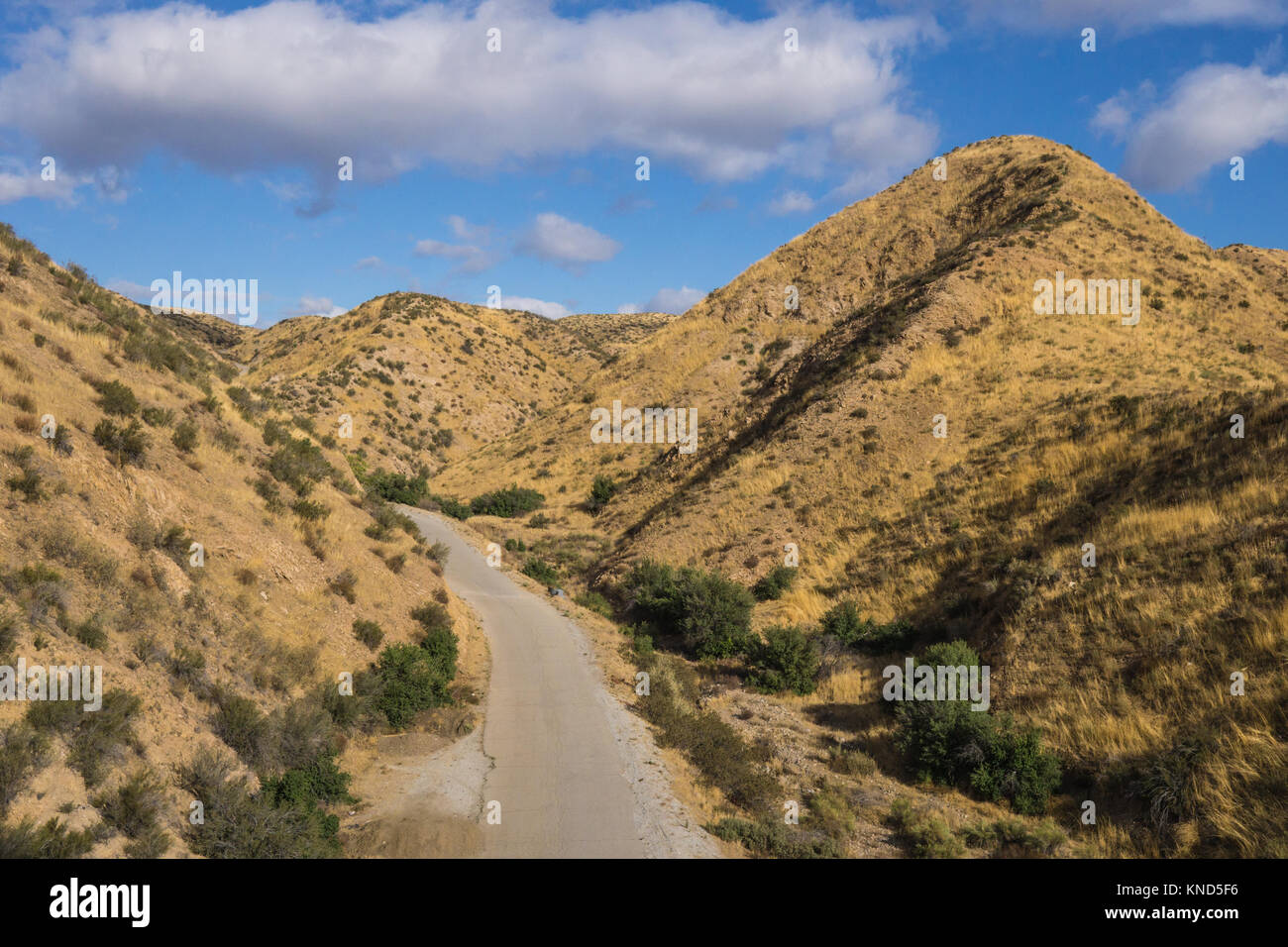 Road through California canyons in the wilderness of Angeles National