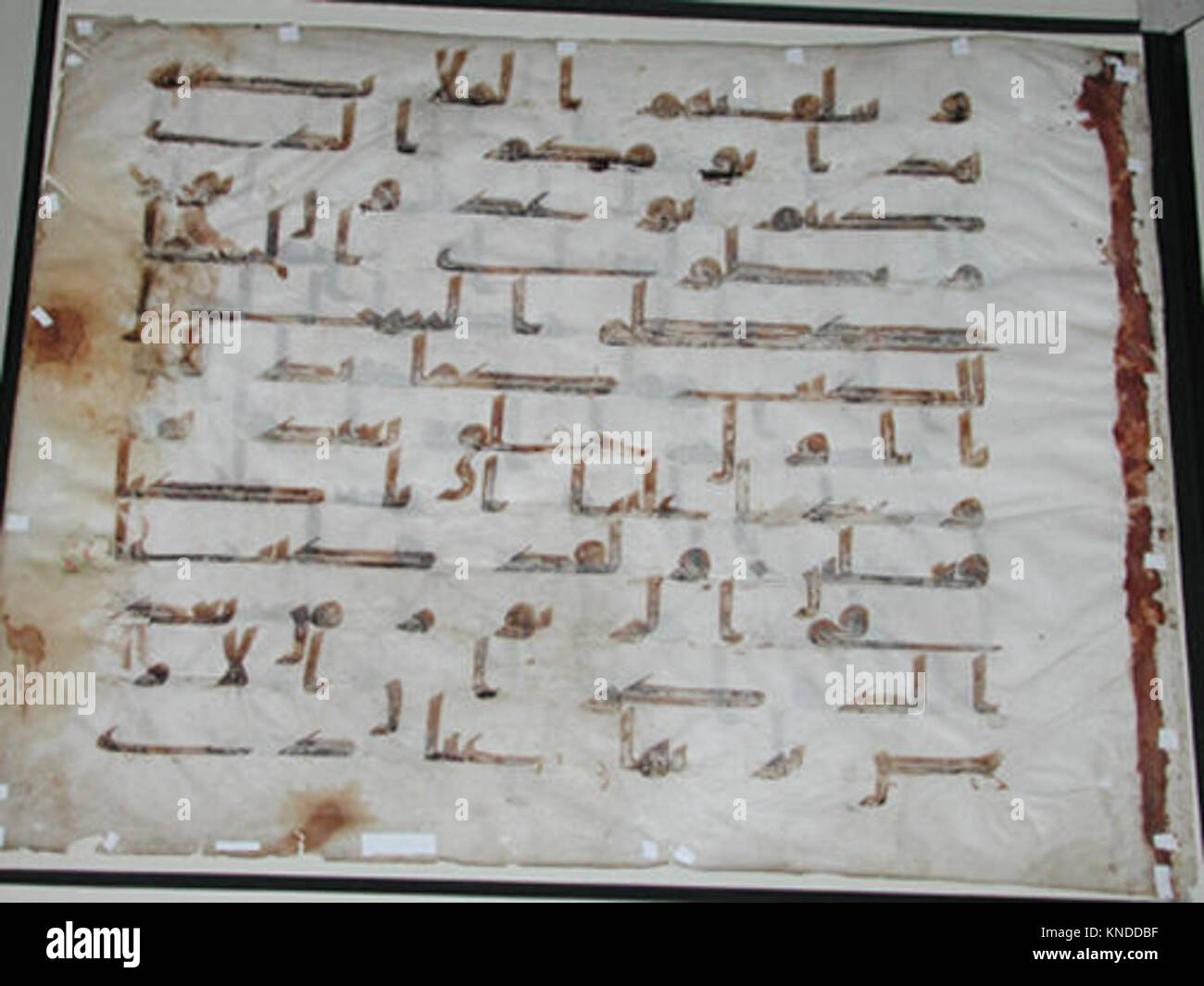 This Tashkent Qur'an folio features intricate Arabic calligraphy and ...