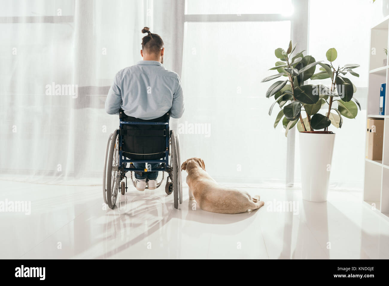 man on wheelchair and his dog Stock Photo