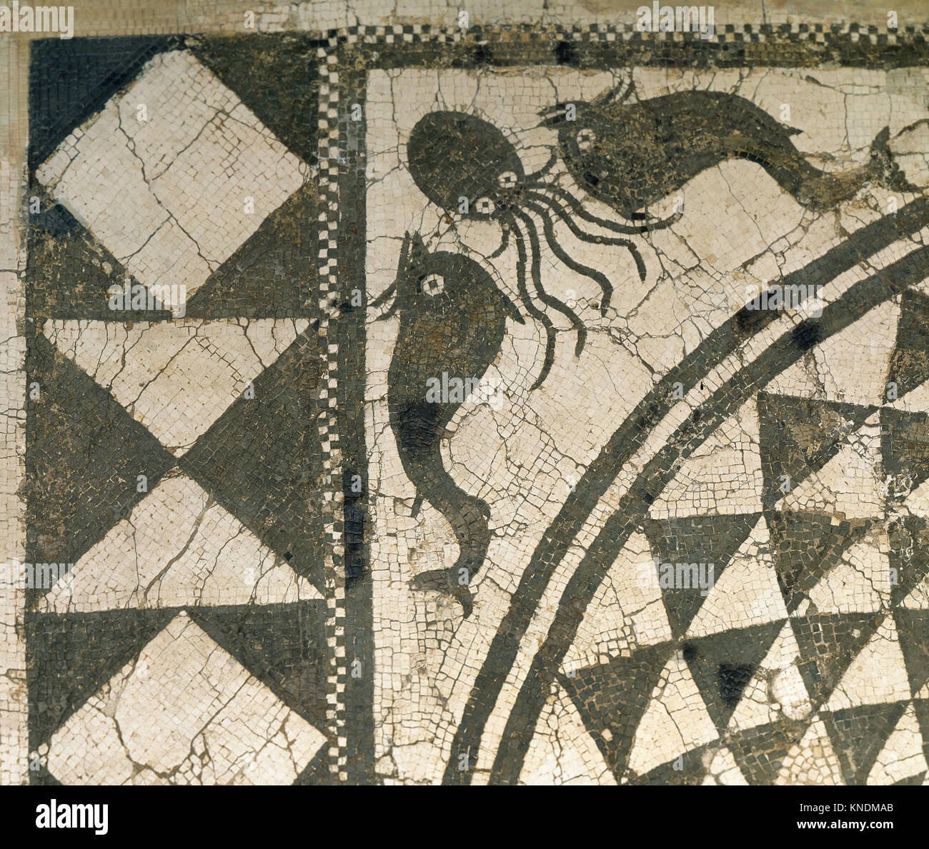 Roman mosaic of marine scenes. Fish and octopus. Black and white. Llado House, From Badalona. 1st-2nd century AD. Archaeological Museum of Catalonia, Barcelona, Spain. Stock Photo