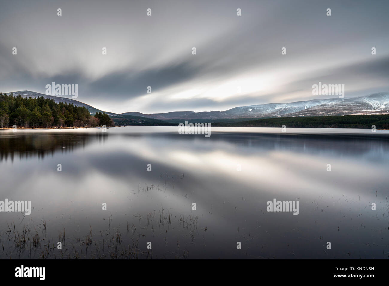 Loch Morlich; Winter Dawn; Near Aviemore; Scotland;   UK Stock Photo