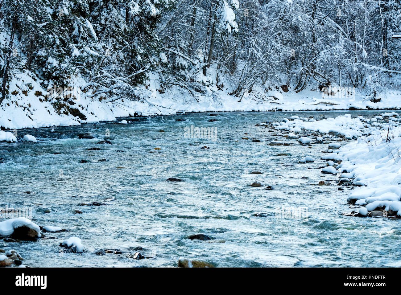 Landscape with mountain river in winter Stock Photo - Alamy
