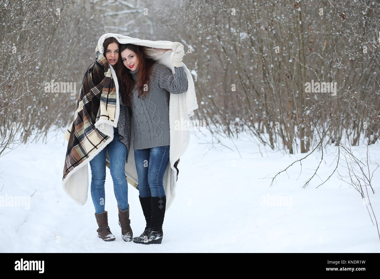 Beautiful girl in a beautiful winter park Stock Photo - Alamy