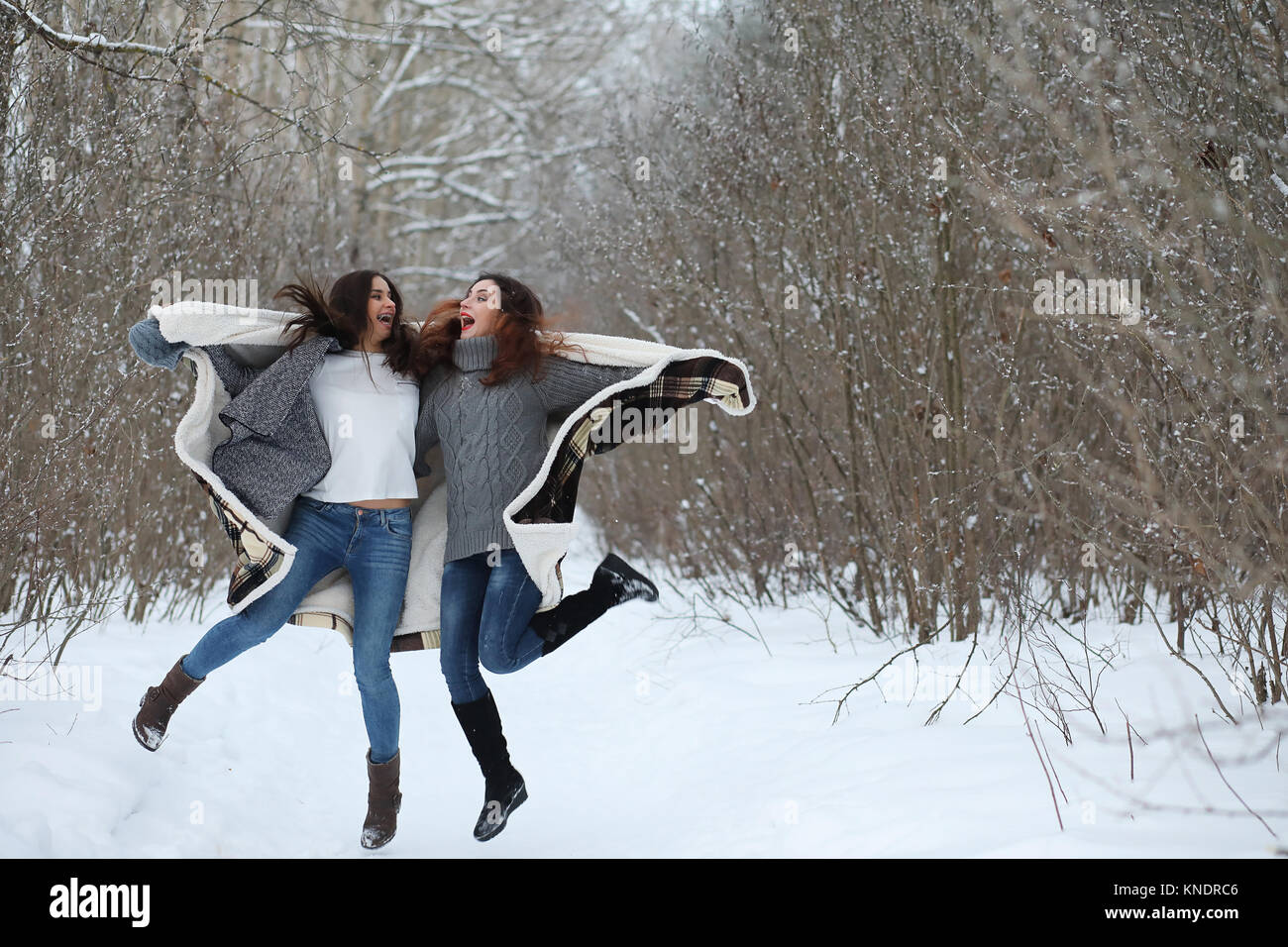 Beautiful girl in a beautiful winter park Stock Photo - Alamy