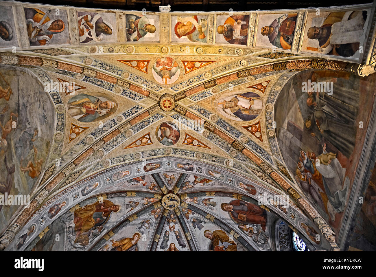 Italy S.Daniele del Friuli Church of S. Antonio Abate. Cycle of frescoes ,from the 15th century by Pellegrino da San Daniele. The vault of the presbytery. Stock Photo