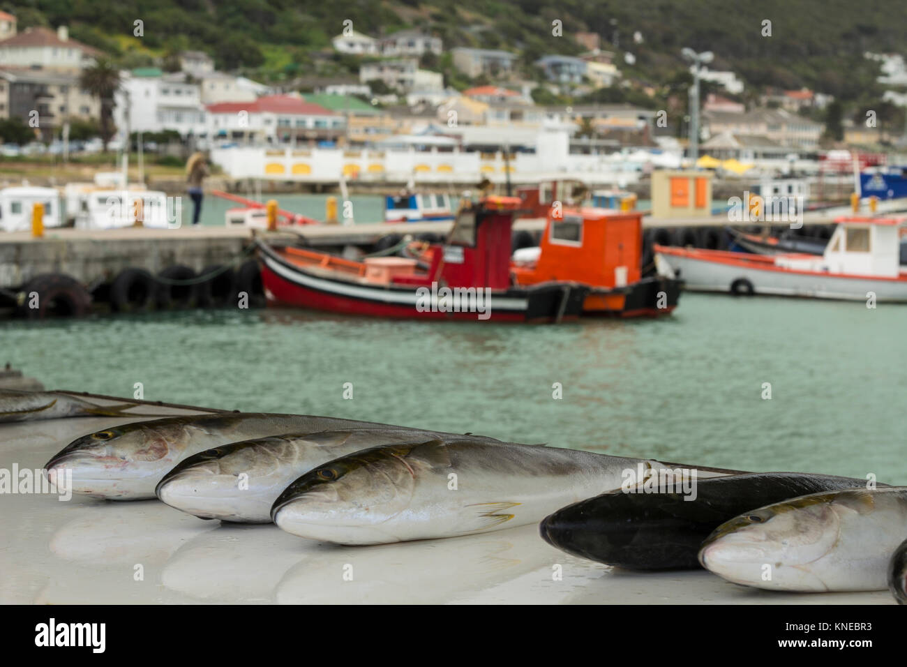 Fish on display at a fish market in Cape Town, with fishing vessels in