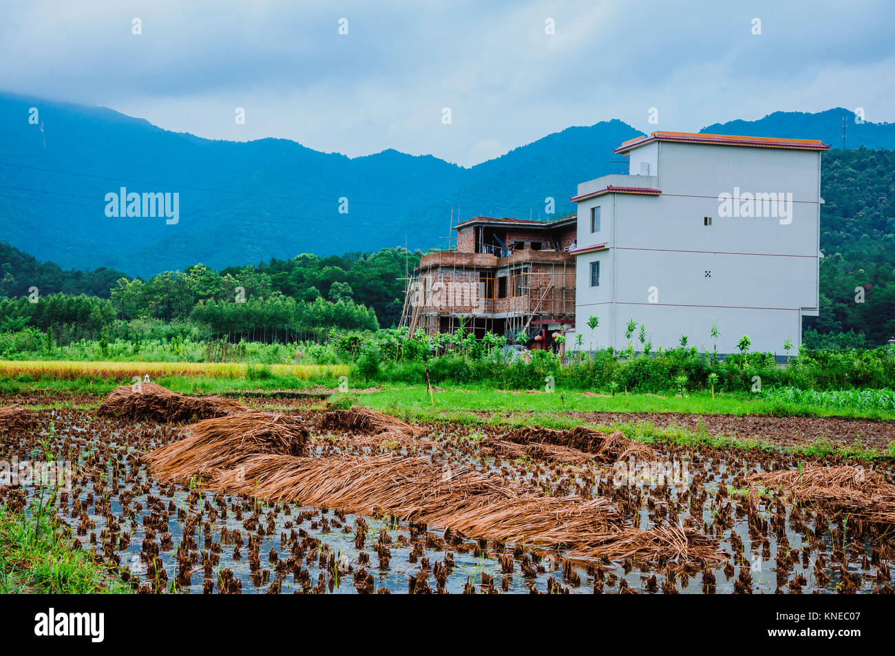 Autumn rural natural landscape hi-res stock photography and images - Alamy