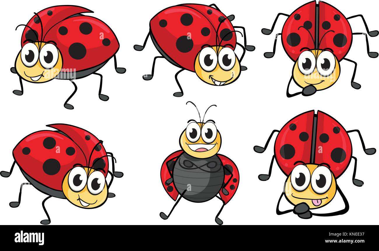 6 spot ladybird Stock Vector Images - Alamy, image size:1300x861
