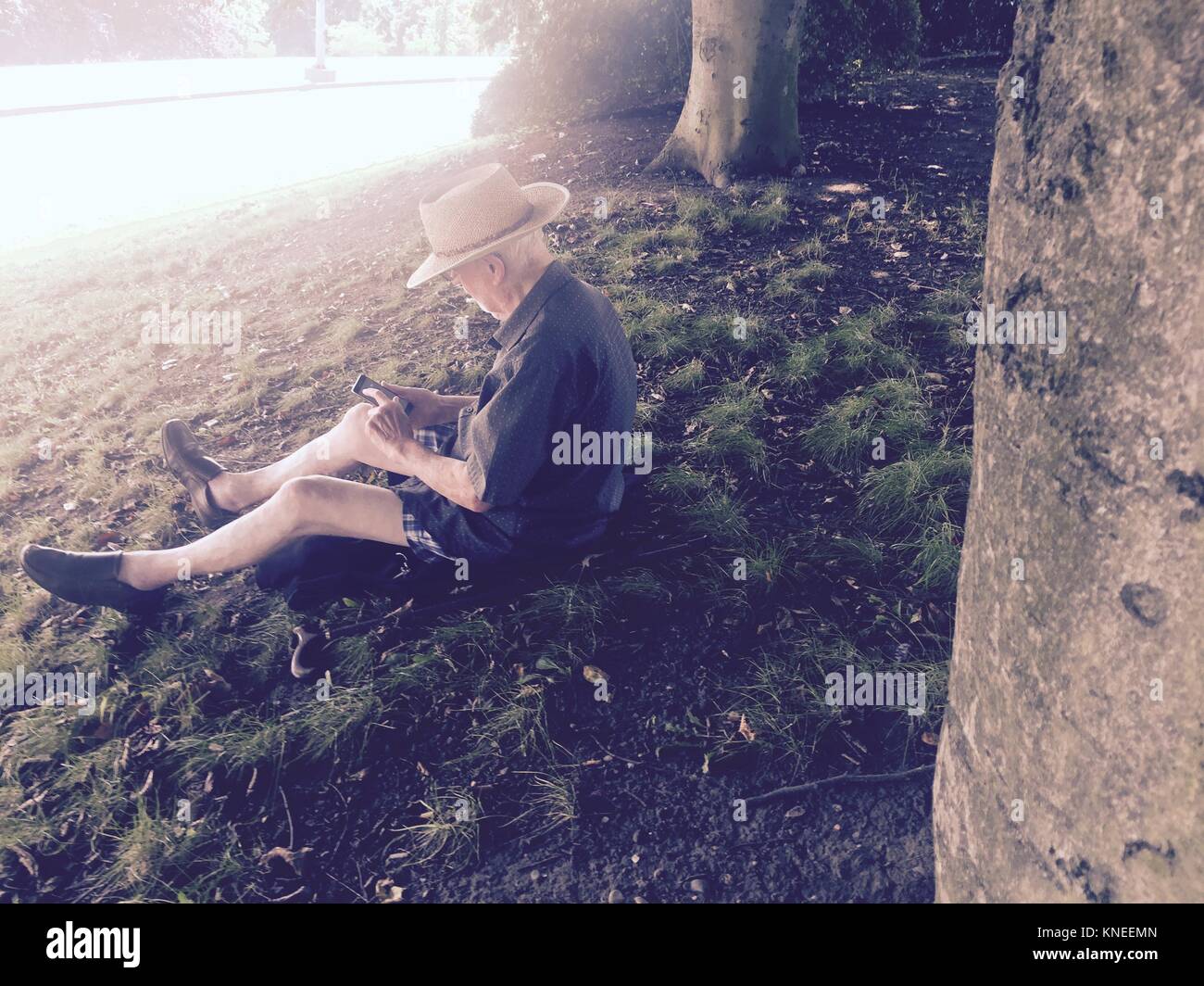 Senior man sitting in park using a mobile phone Stock Photo - Alamy