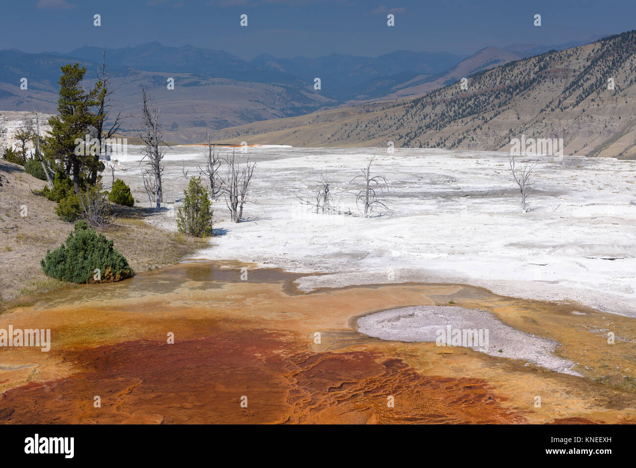 Mammoth Hot Springs, Yellowstone National Park, Wyoming, United States Stock Photo