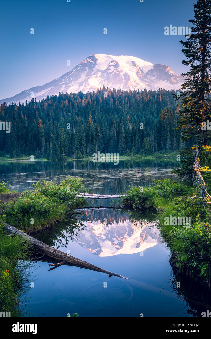 Snowcapped mountain reflection in a lake, Mount Rainer National Park, Washington, United States Stock Photo