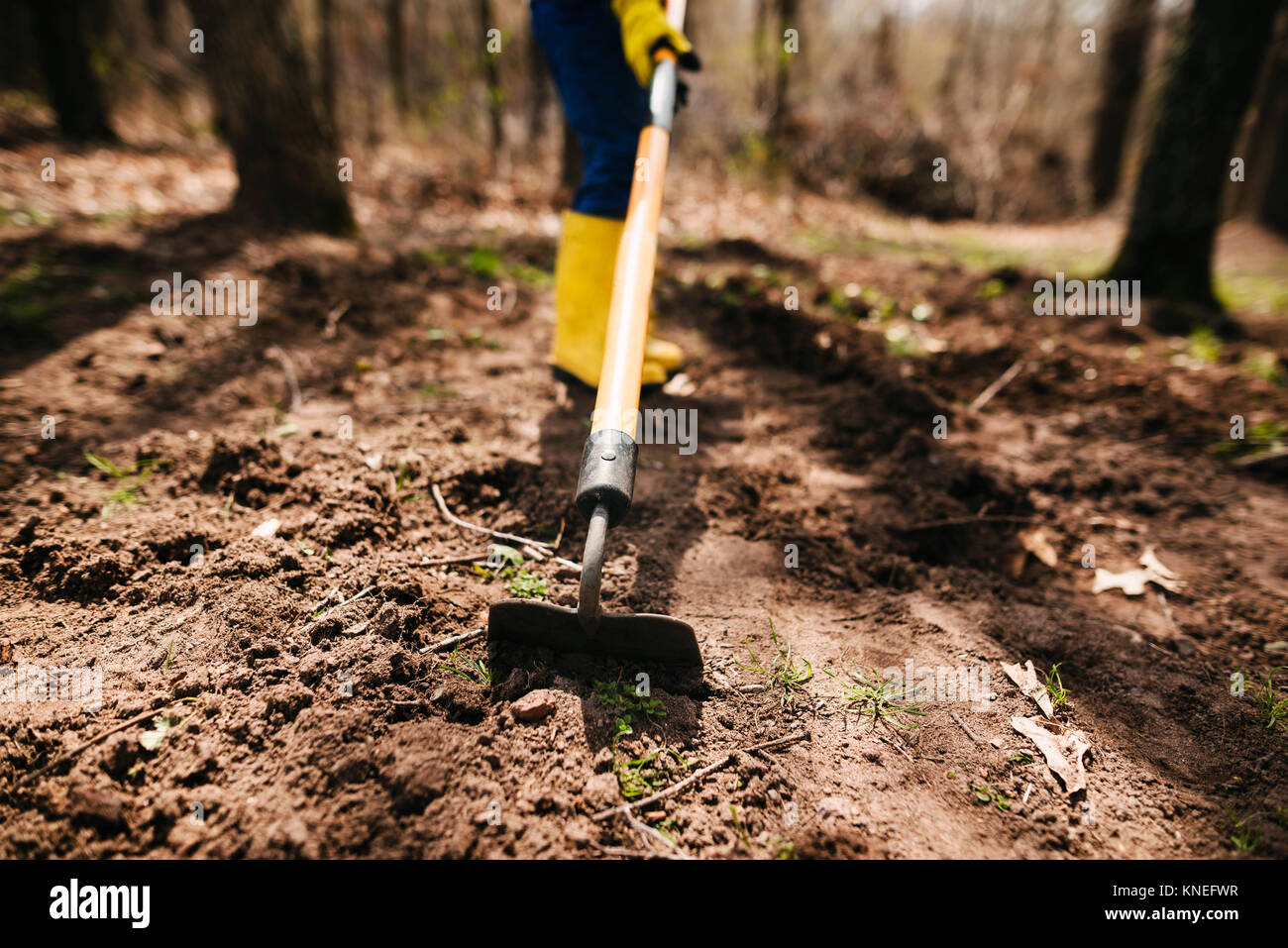 Boy digging the soil with a hoe Stock Photo
