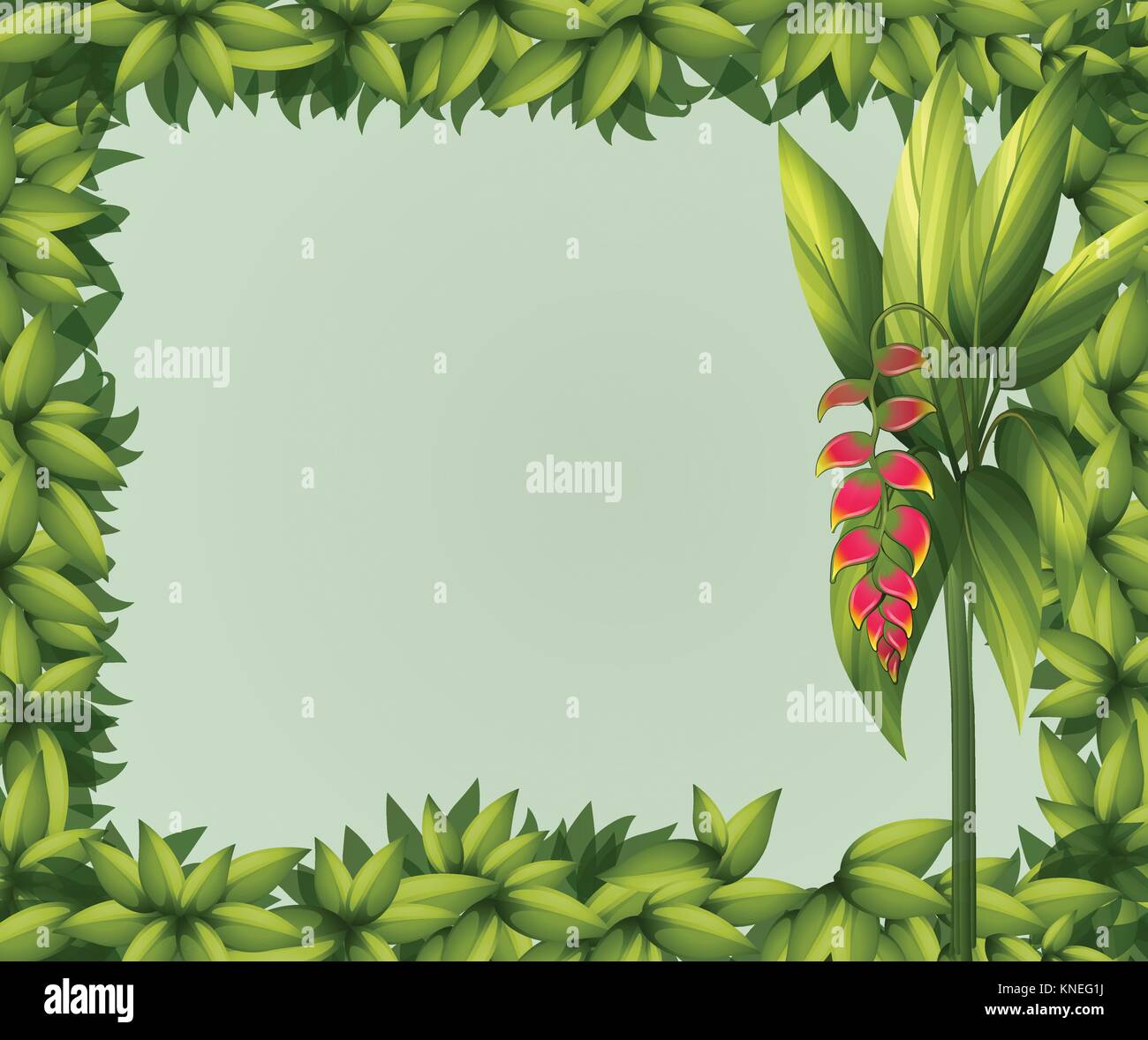 Illustration of a green border on a white background Stock Vector Image ...