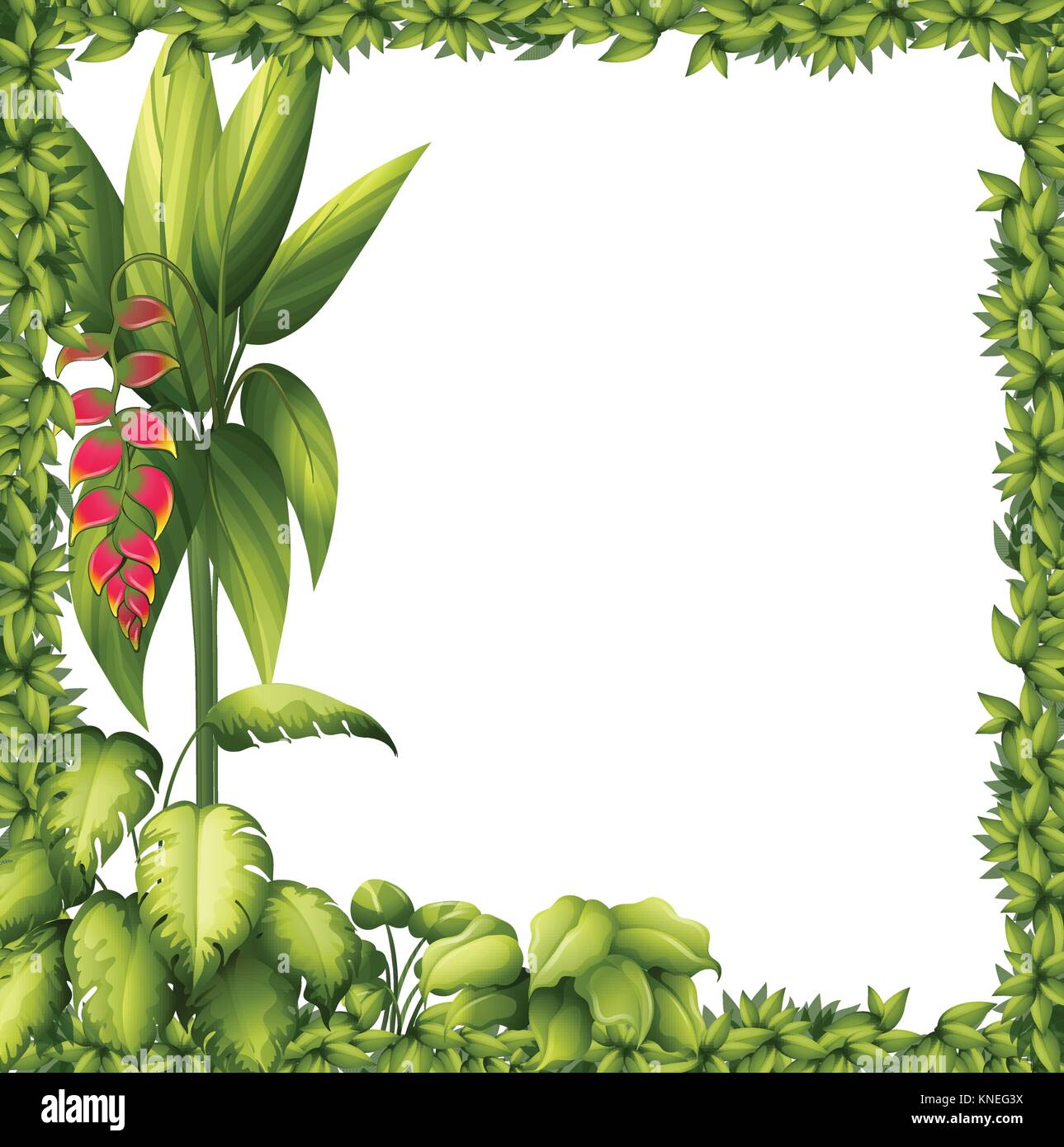 Illustration of a green frame with a flower on a white background Stock ...