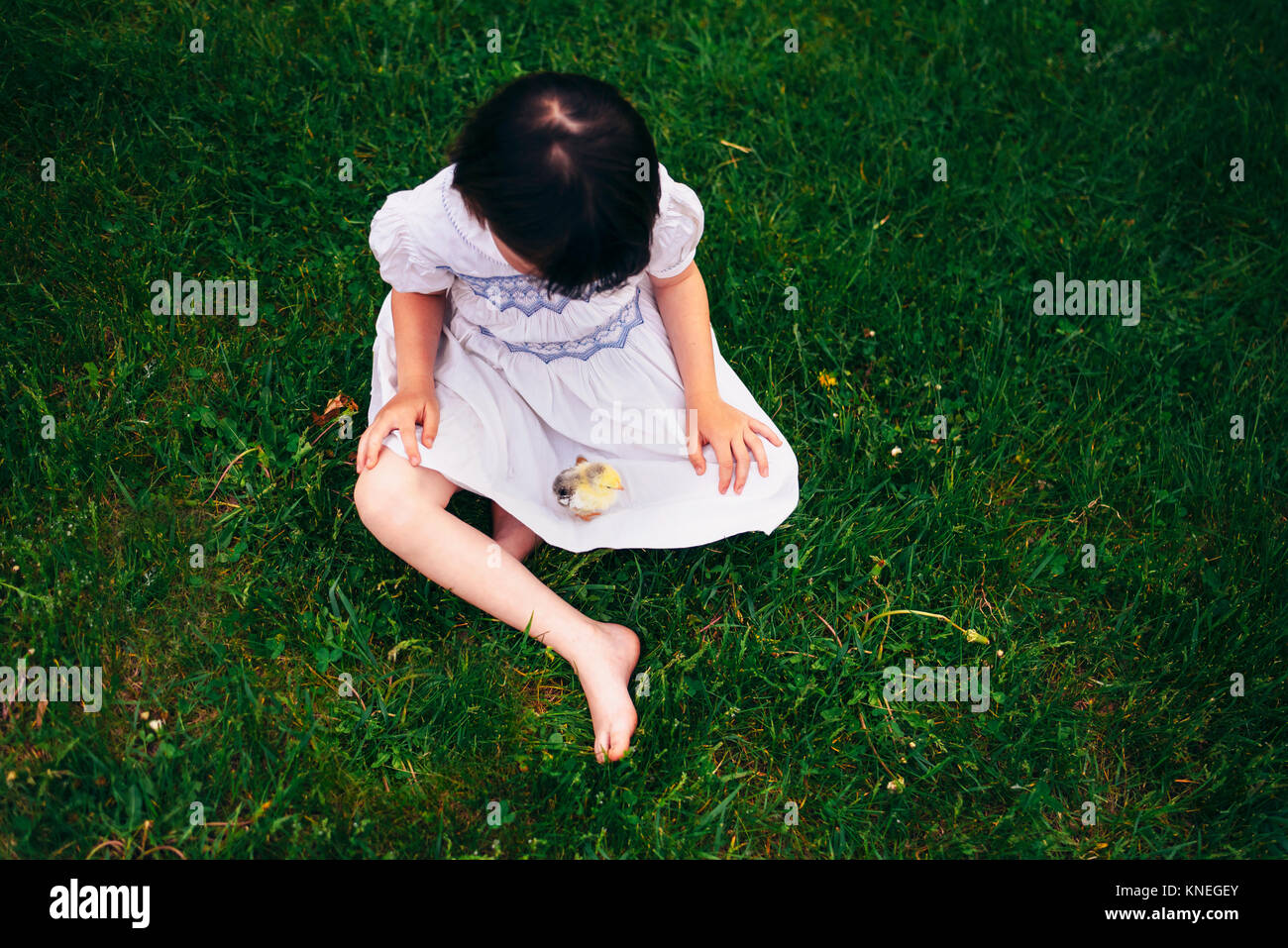 Girl sitting outside with a baby chick Stock Photo