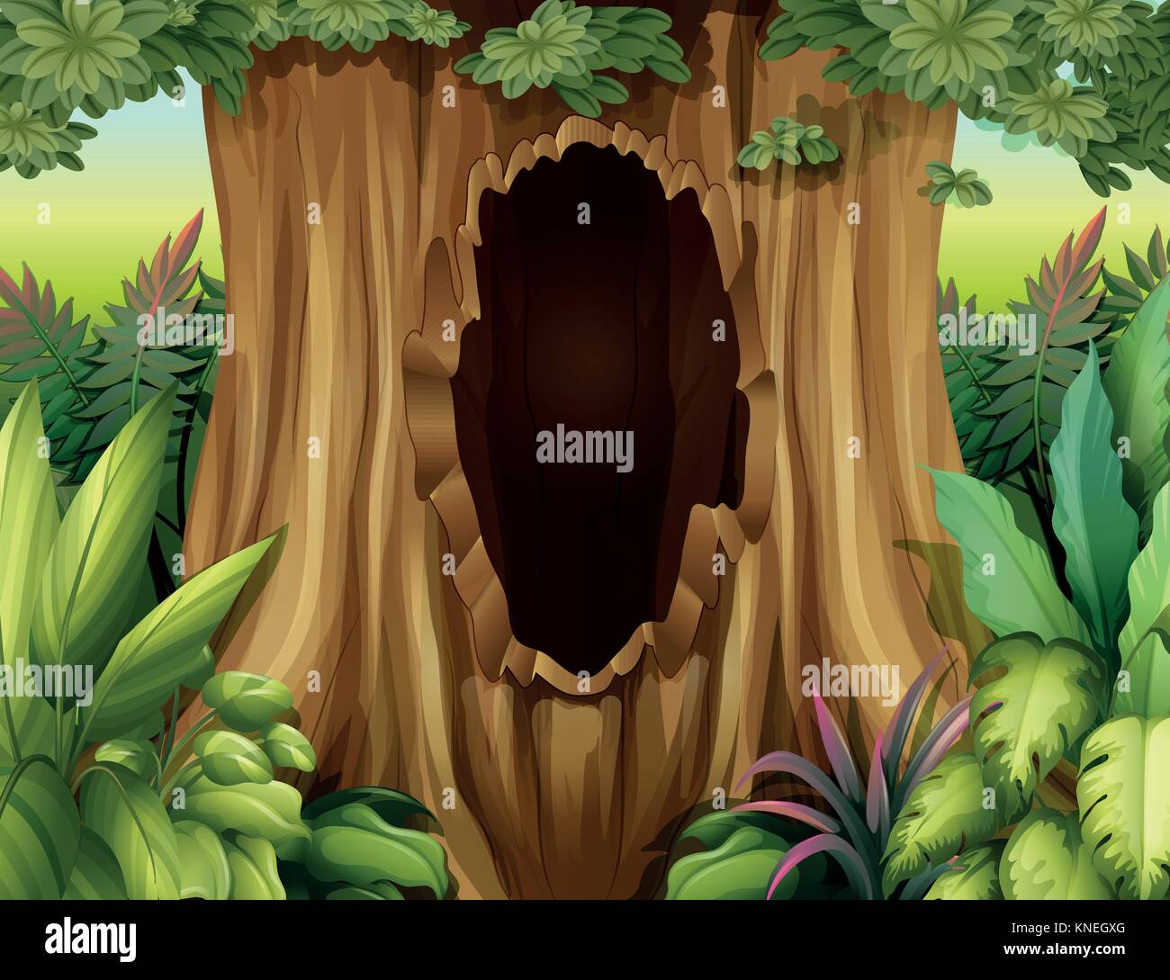 Illustration of a big trunk of a tree with a hole Stock Vector Image ...
