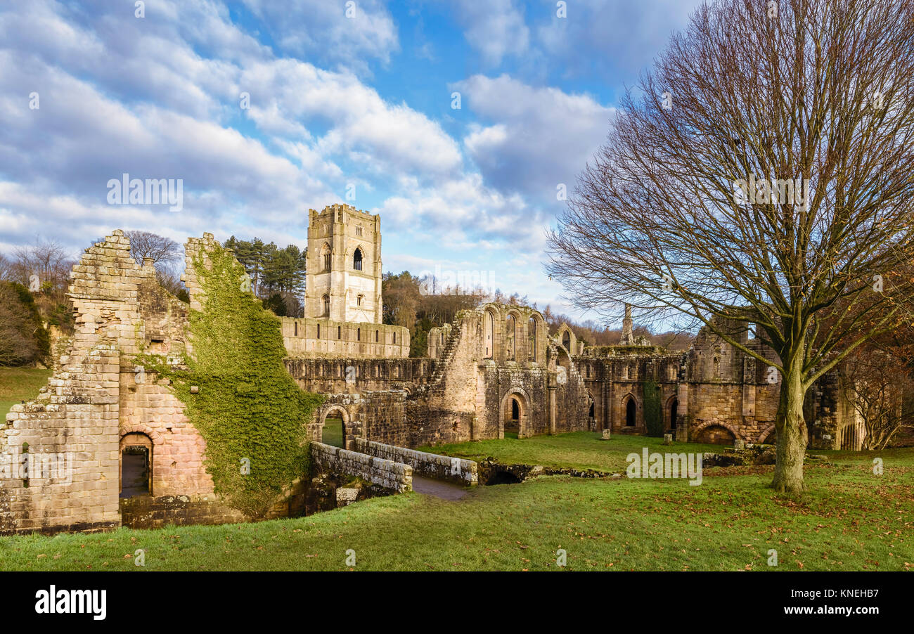 The ruins of Fountains Abbey on a fine autumn morning as viewed from across the river Skell, Ripon, Yorkshire, UK. Stock Photo
