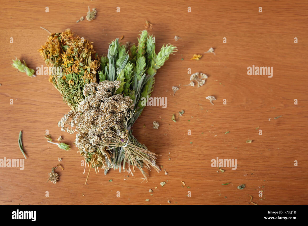 Bunches of dried herbs on a wooden table Stock Photo