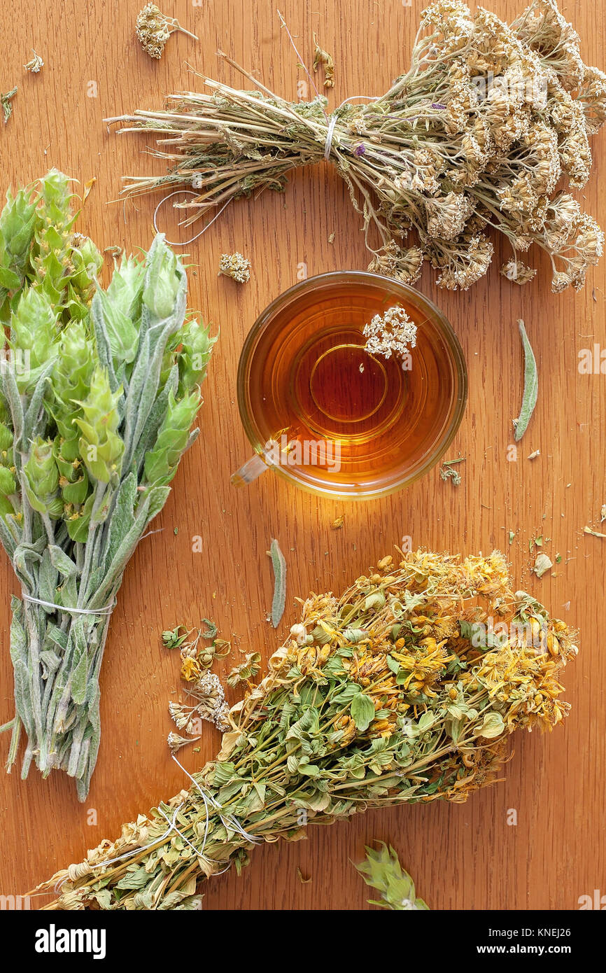 Bunches of dried herbs on a wooden table Stock Photo