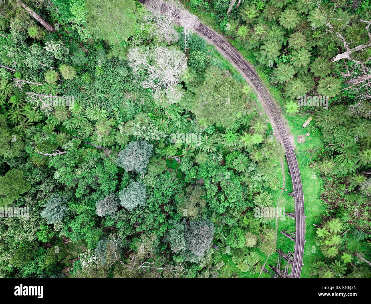 Aerial view of Puffing Billy train Line, Selby Victoria, Australia Stock Photo