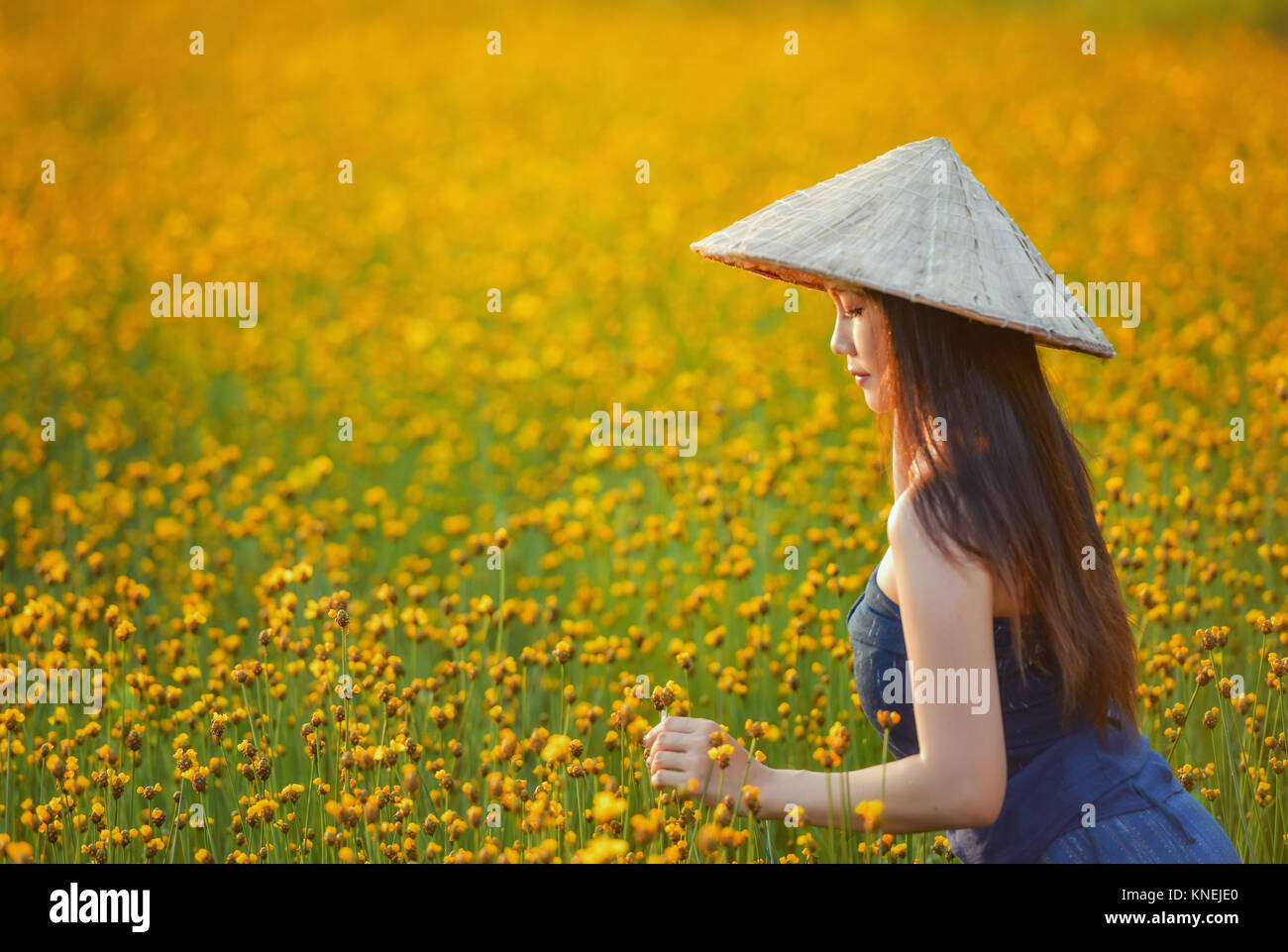 Beautiful woman in a field wearing a conical hat, Thailand Stock Photo