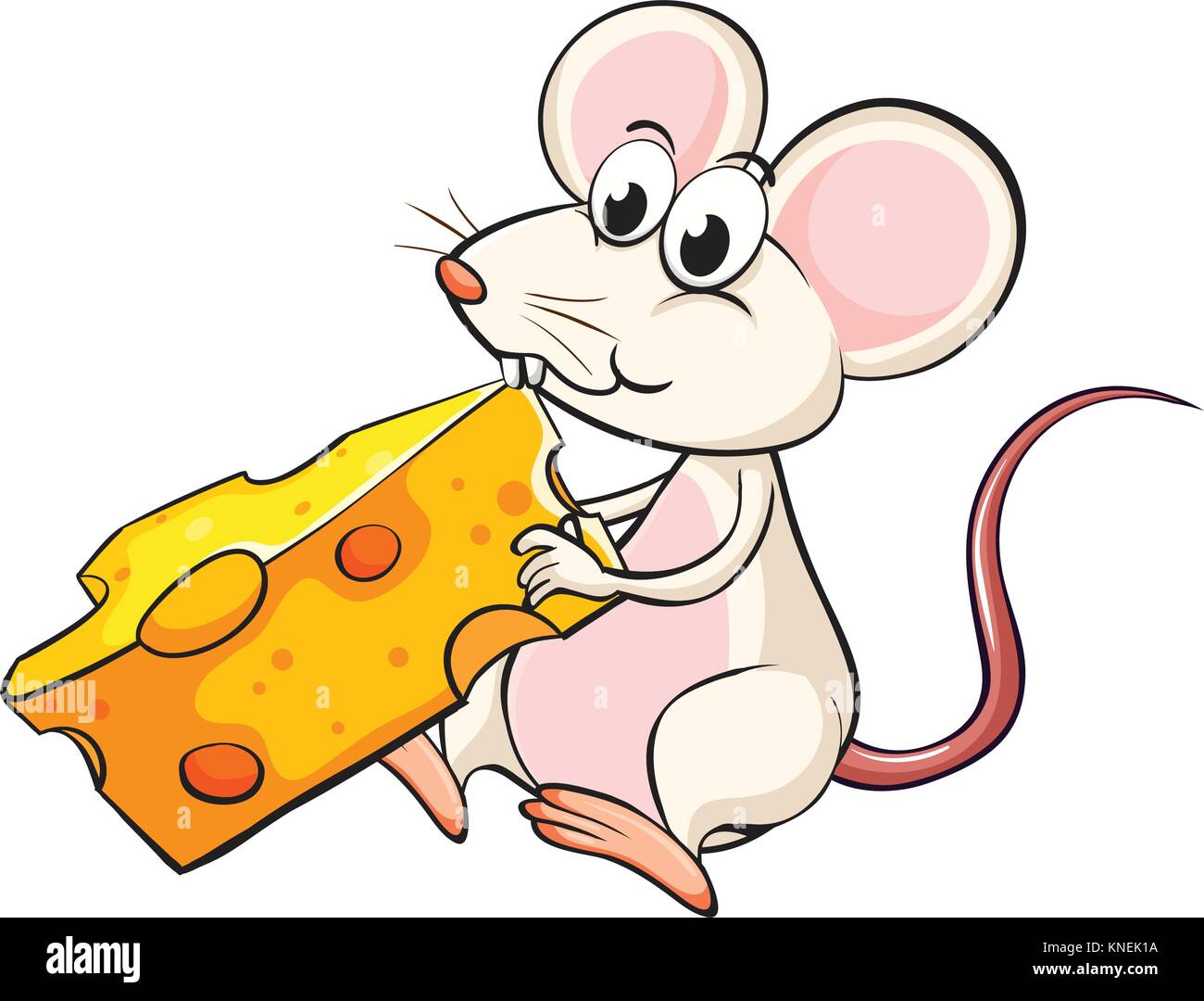 Illustration of a mouse eating cheese on a white background Stock Vector