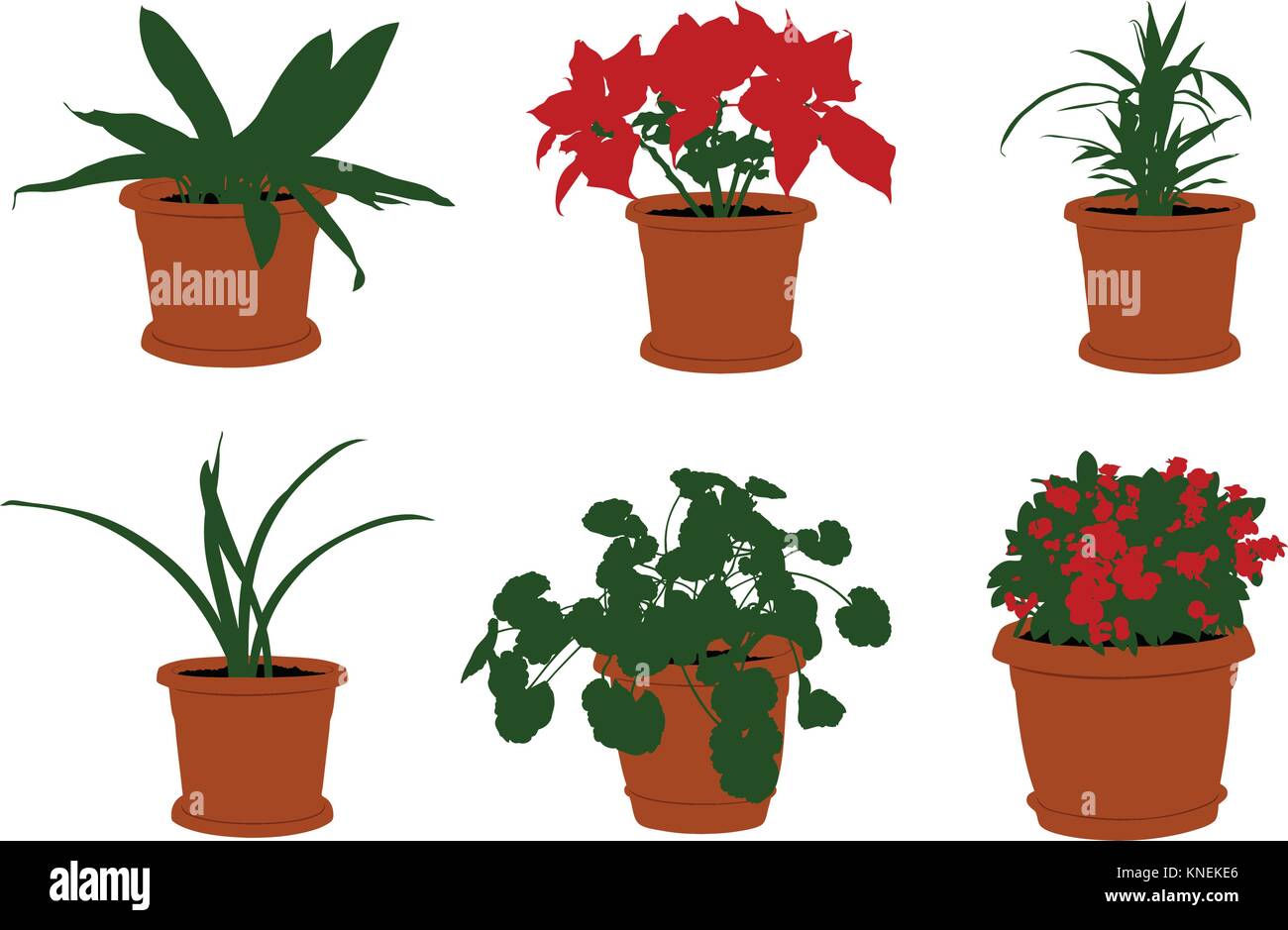 Set of different flowers in pots isolated on white Stock Vector Image ...
