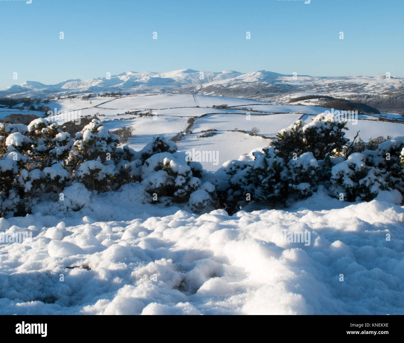 Snow scene North Wales (UK Weather Stock Photo Alamy