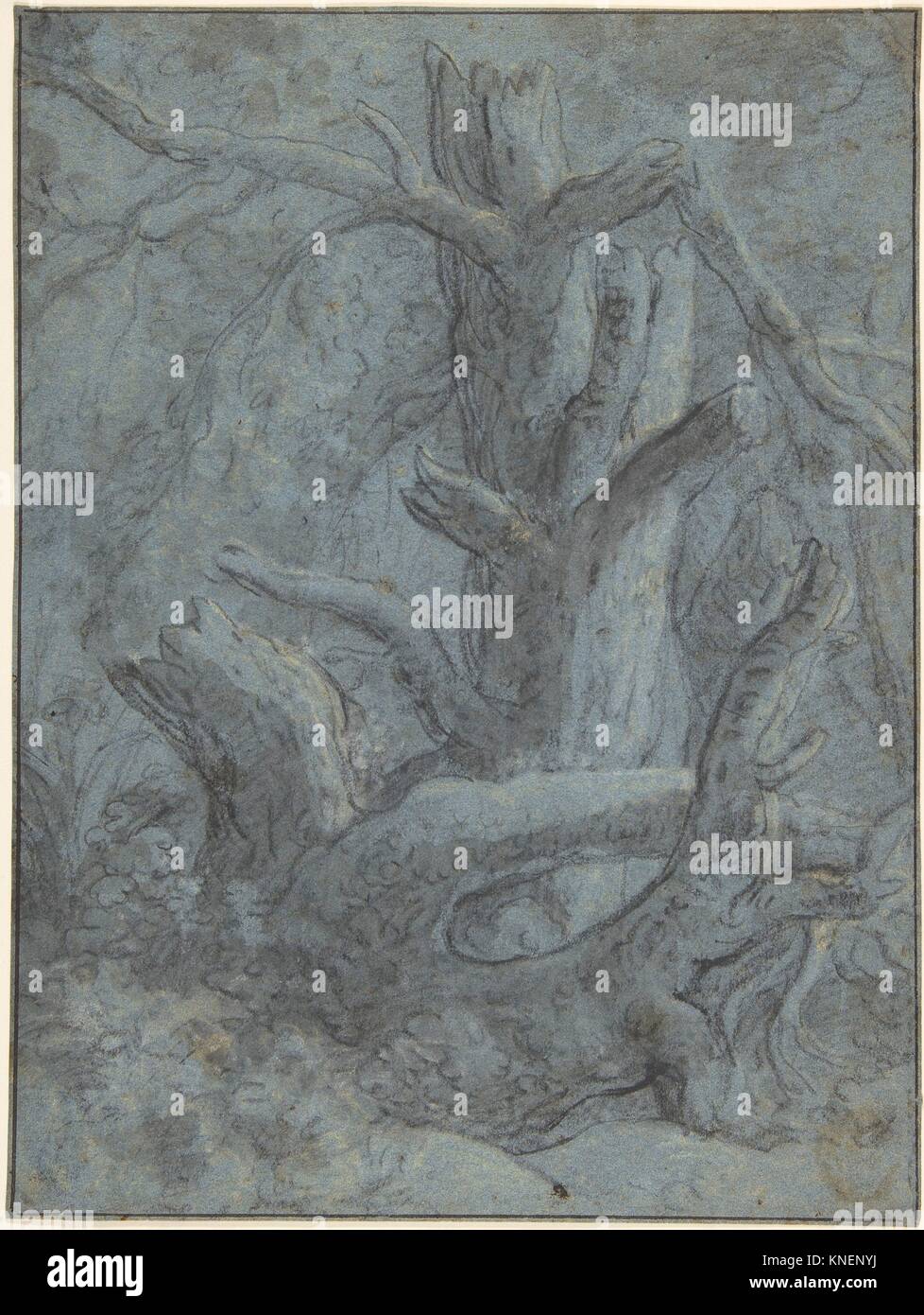 Study of a Blasted Tree Trunk and Branches. Artist: Simon de Vlieger (Dutch, Rotterdam (?) ca. 1600/1601-1653 Weesp); Former Attribution: Formerly Stock Photo