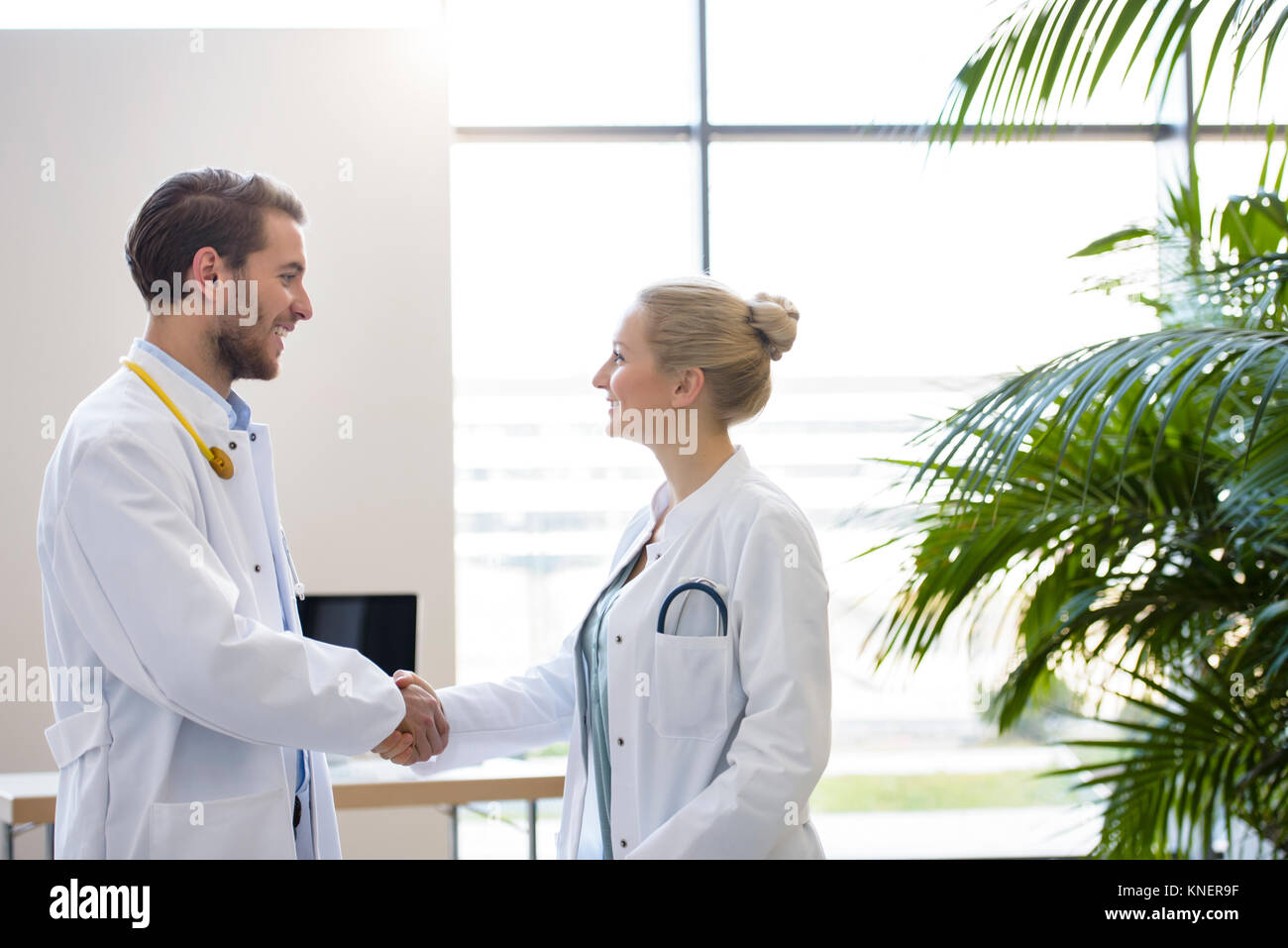 Male and female doctor shaking hands Stock Photo