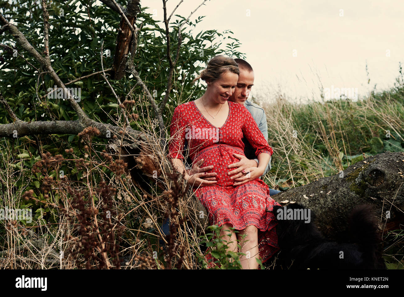 Romantic mid adult pregnant couple sitting on tree trunk Stock Photo