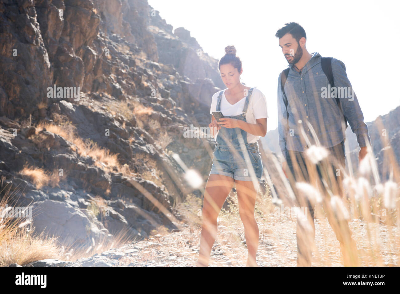 Young hiking couple looking at smartphone while hiking in valley, Las Palmas, Canary Islands, Spain Stock Photo