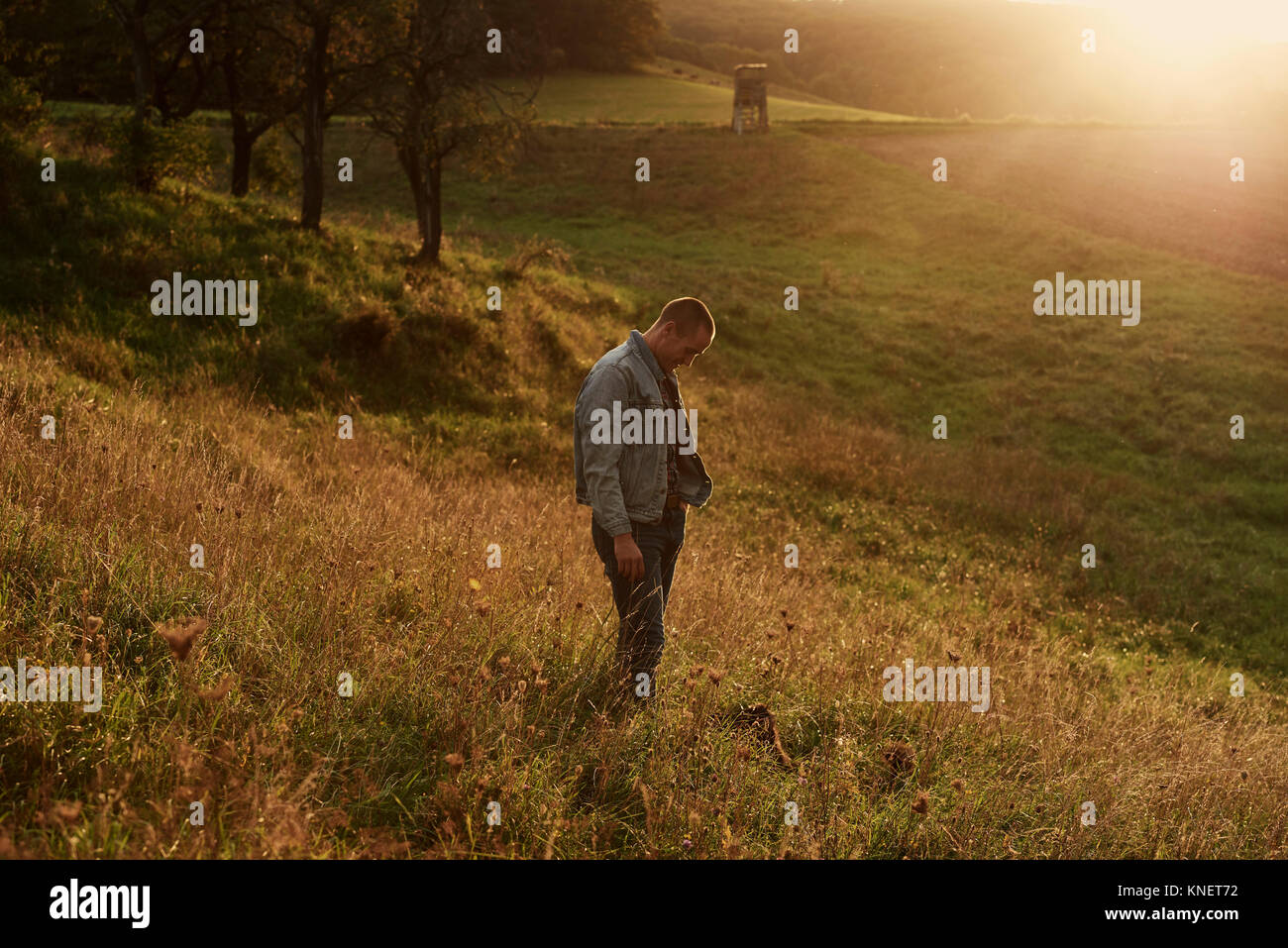 Mid adult man standing on hillside  at sunset looking down Stock Photo