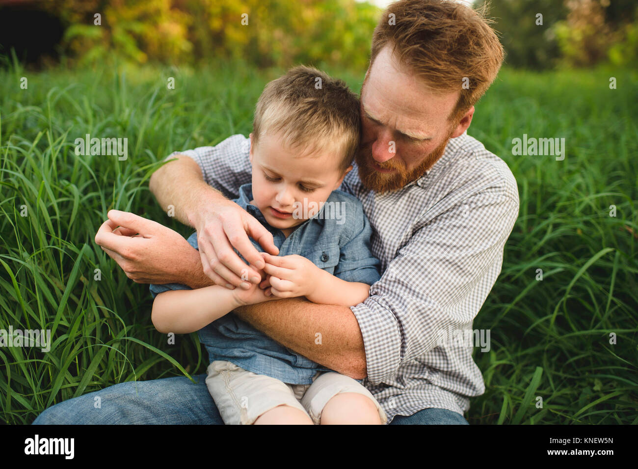 Father and son sitting in tall grass investigating nature Stock Photo ...