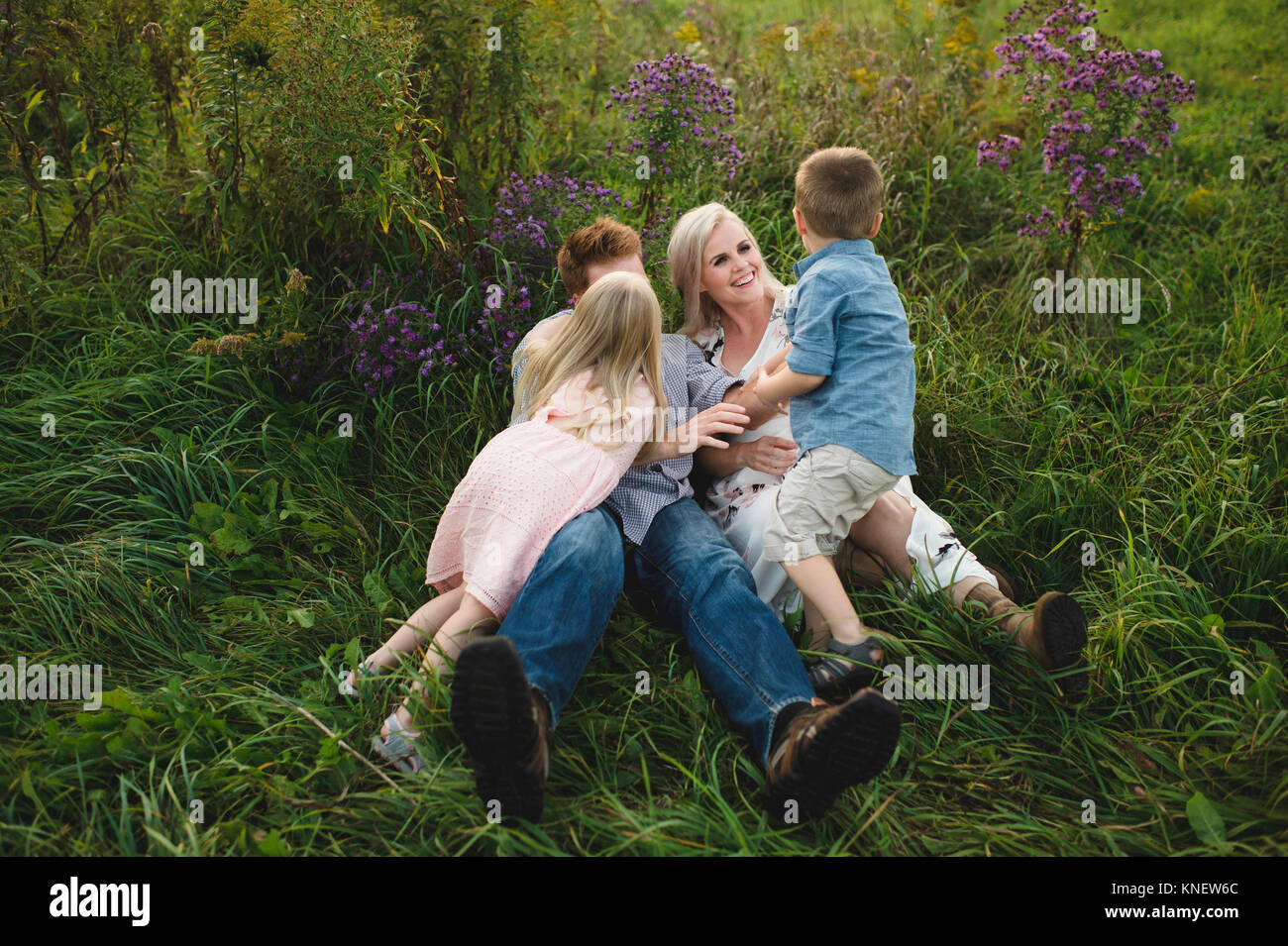Parents and children lying in tall grass together Stock Photo