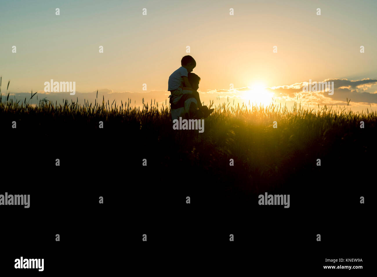Father and son walking through fields, father carrying son on shoulders, Ural, Chelyabinsk, Russia, Europe Stock Photo