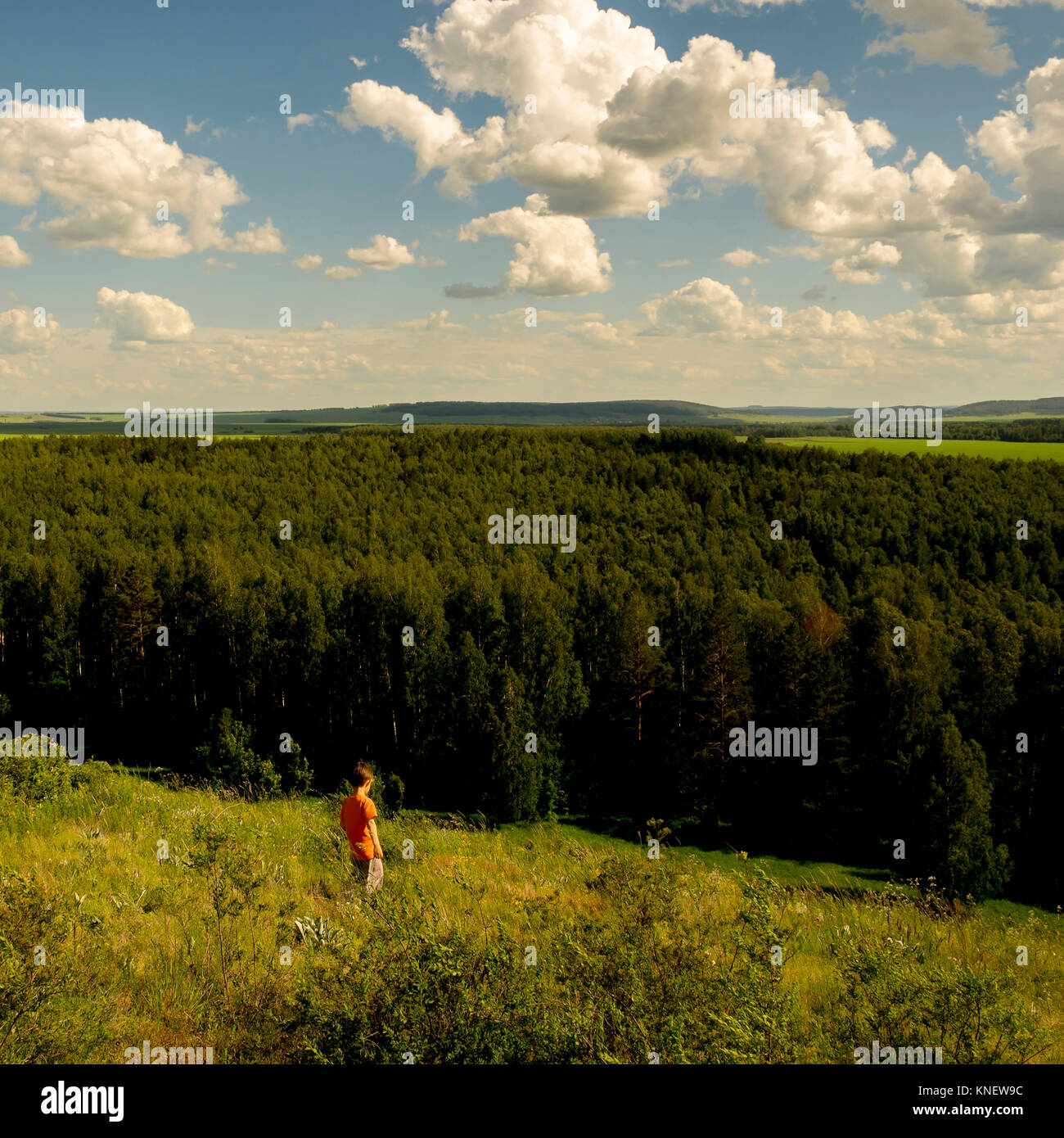 Young boy walking through field, Ural, Chelyabinsk, Russia, Europe Stock Photo