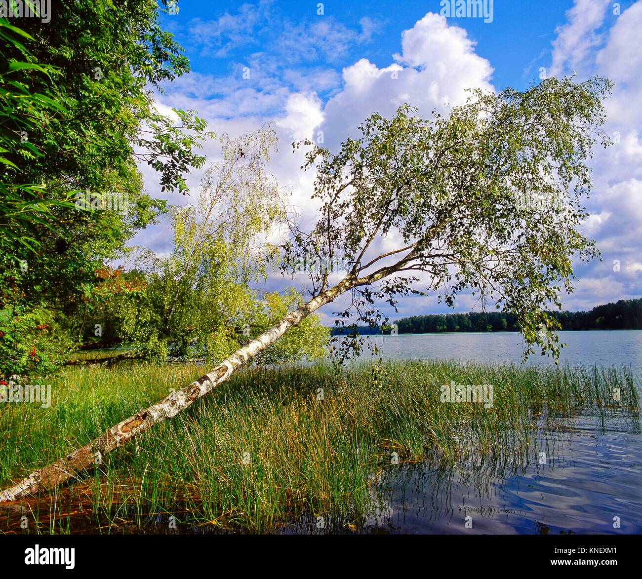 Lake serwy poland hi-res stock photography and images - Alamy