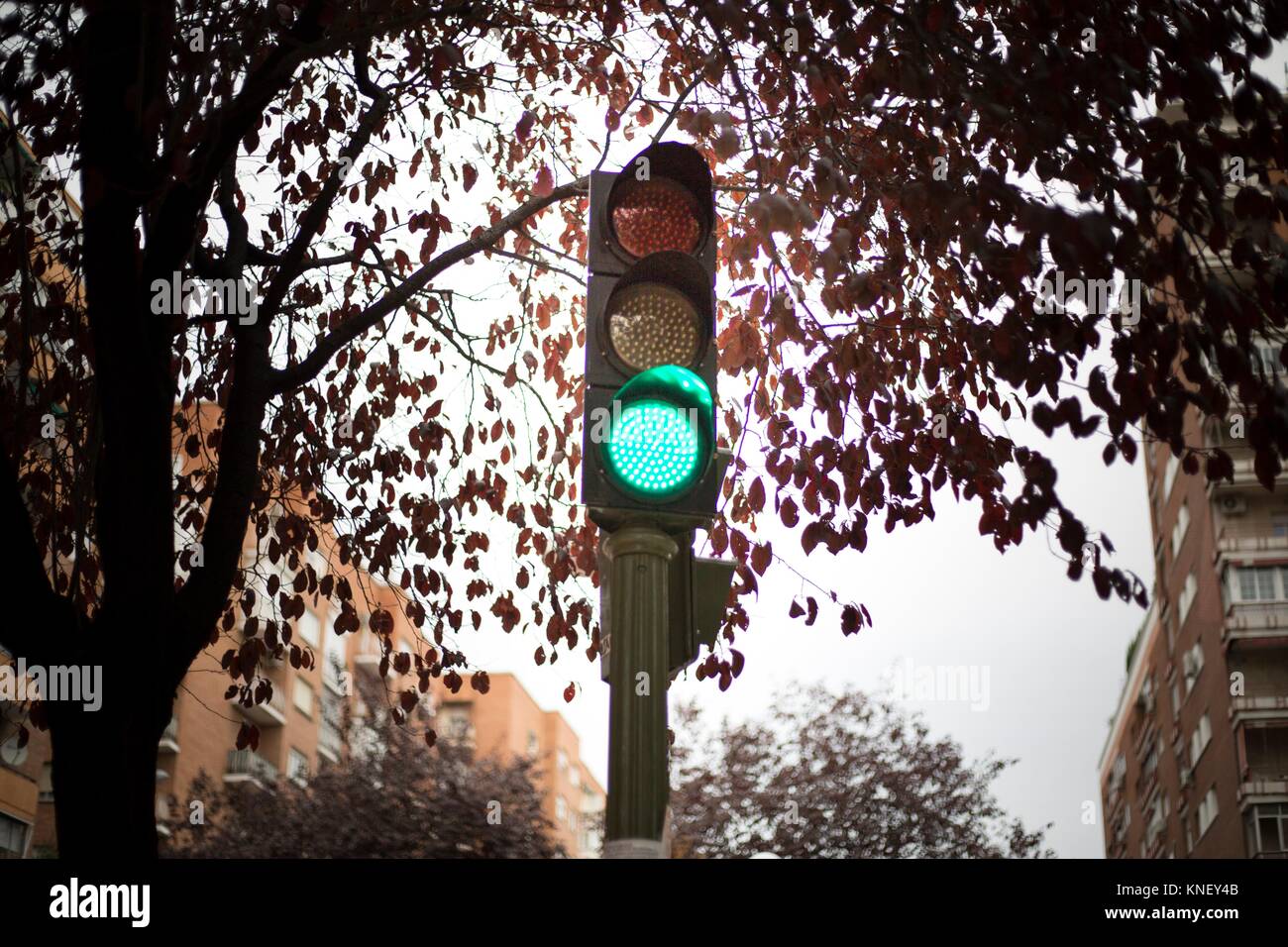 Green Traffic Light in Madrid. Stock Photo