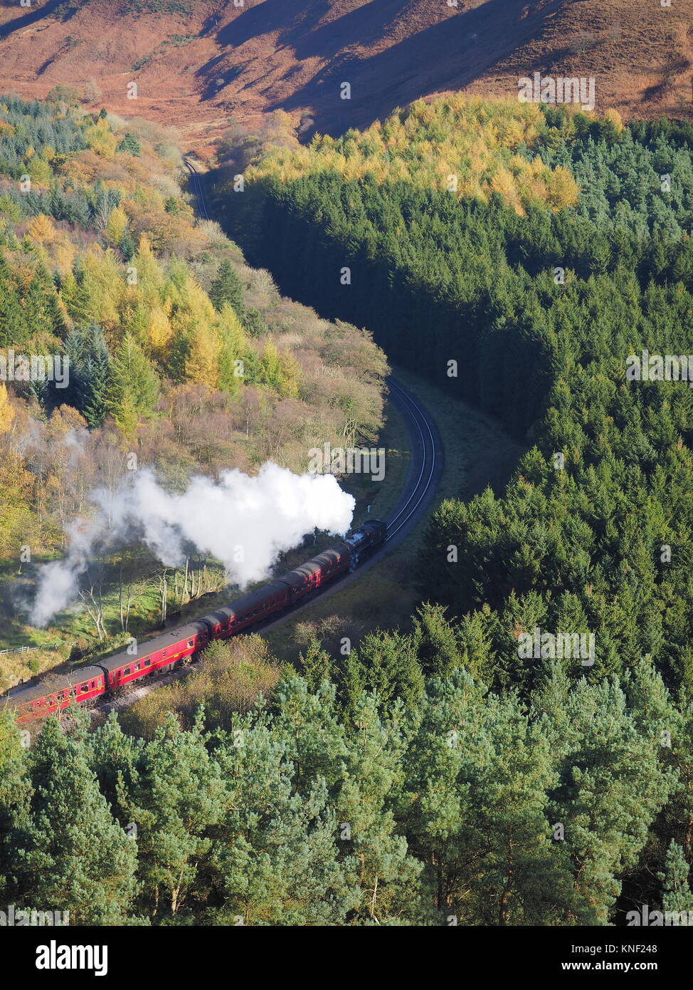 Steam train winding its way through a wooded valley Stock Photo