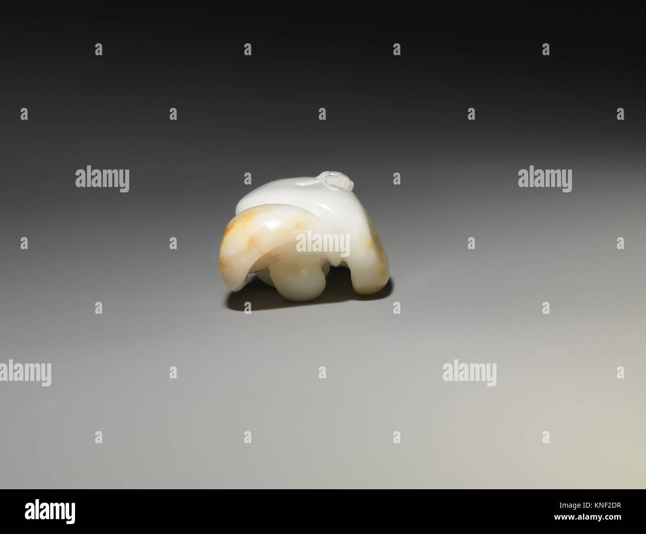 Two Mushrooms. Period Qing dynasty (16441911); Date 18th century