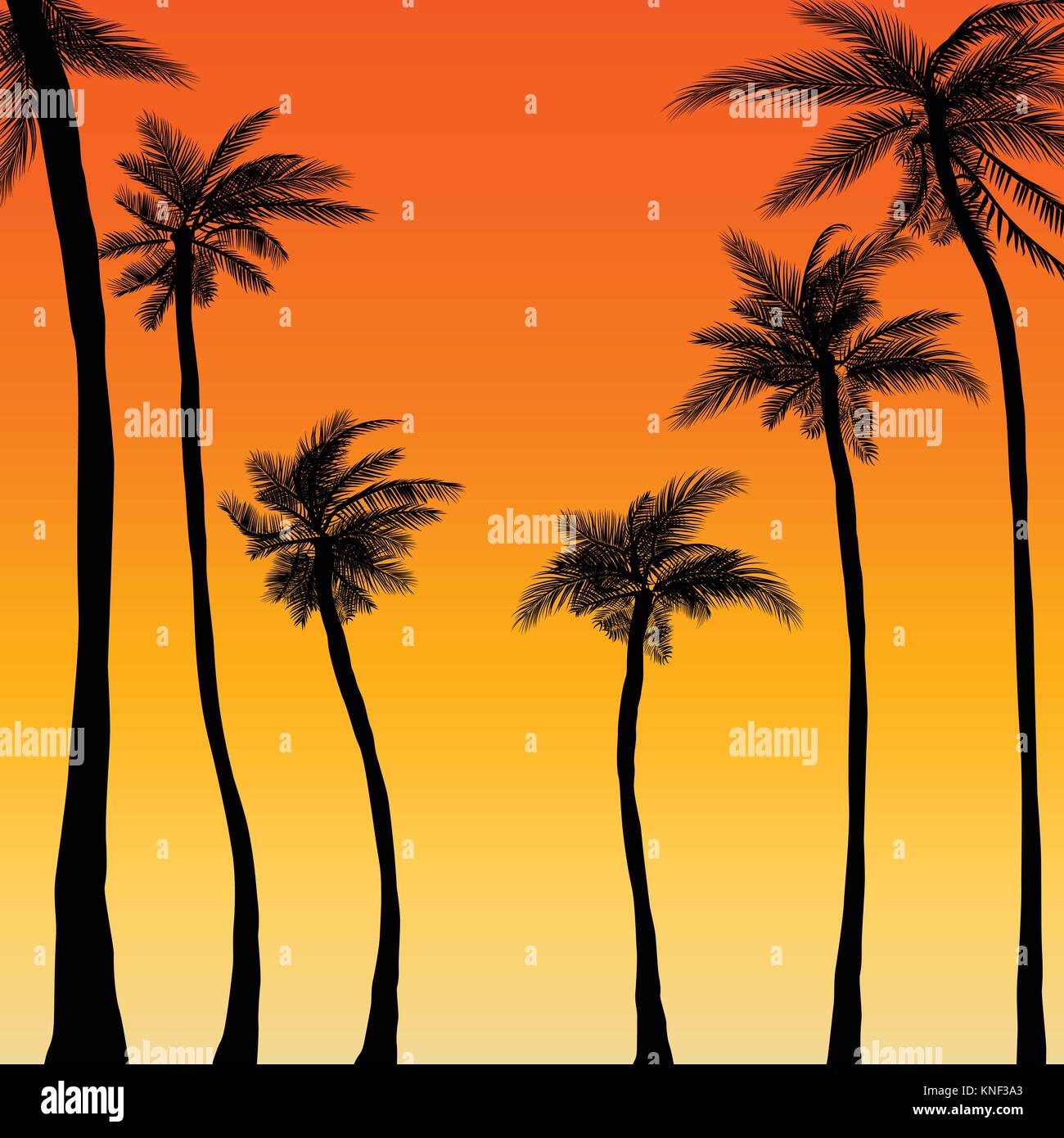 summer palm trees sunset background Stock Vector Image & Art - Alamy